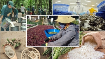 Xuất siêu nông, lâm, thủy sản 7 tháng năm 2022 tăng gần đôi cùng kỳ