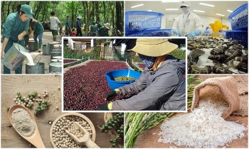 Xuất siêu nông, lâm, thủy sản 7 tháng năm 2022 tăng gần đôi cùng kỳ