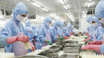 Thủy sản nhập khẩu được gỡ vướng khâu kiểm dịch