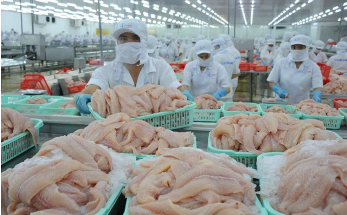 xuất khẩu cá tra cũng tăng trưởng chậm lại xuất khẩu cá tra cũng tăng trưởng chậm lại