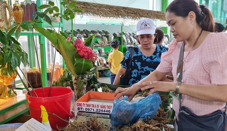 Quảng Nam: Khai mạc Lễ hội sâm Ngọc Linh lần thứ IV năm 2022 Quảng Nam: Khai mạc Lễ hội sâm Ngọc Linh lần thứ IV năm 2022