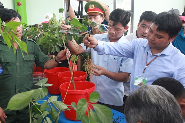 Quảng Nam: Khai mạc Lễ hội sâm Ngọc Linh lần thứ IV năm 2022 Quảng Nam: Khai mạc Lễ hội sâm Ngọc Linh lần thứ IV năm 2022