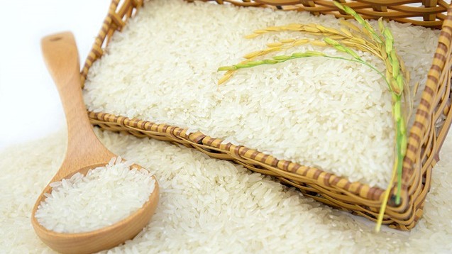 Giá lúa gạo hôm nay 3/8/2022: Giá gạo 5% giảm 15 USD/tấn