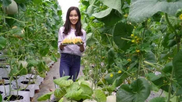 Phát triển du lịch nông thôn gắn với phát huy tiềm năng, lợi thế về nông nghiệp, làng nghề