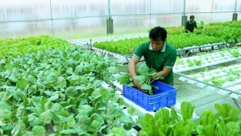 Phê duyệt Chương trình khoa học và công nghệ phục vụ xây dựng nông thôn mới