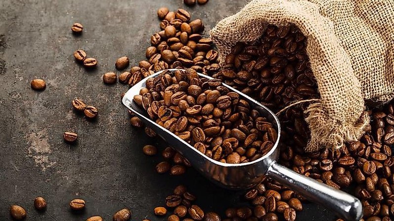 Giá cà phê hôm nay 4/8/2022: Tăng nhẹ toàn thị trường