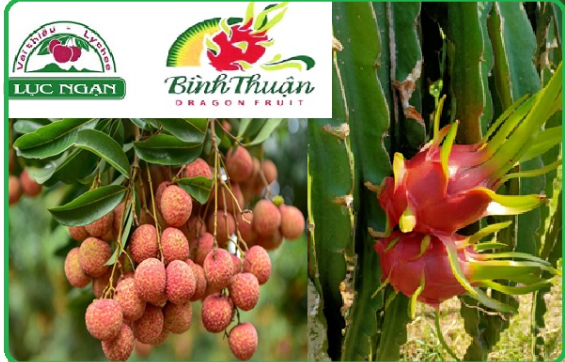 Bảo hộ nhãn hiệu tại nước ngoài - Vai trò và tầm quan trọng của nhãn hiệu sản phẩm trong hoạt động xuất khẩu