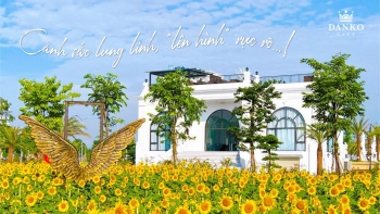 Giới trẻ "phát sốt” với vườn hoa hướng dương đang nở rộ ở Thái Nguyên