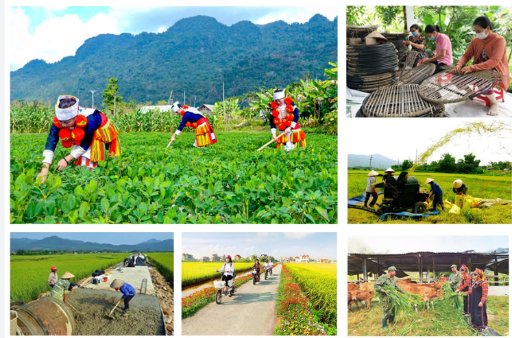 Tiếp tục triển khai thực hiện quyết liệt, hiệu quả các chương trình mục tiêu quốc gia giai đoạn 2021 - 2025