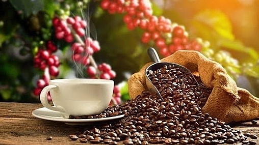 Giá cà phê hôm nay 5/8/2022:  Tiếp tục điều chỉnh tăng nhẹ