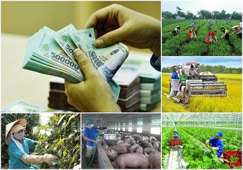 Triển khai quyết liệt, hiệu quả các chương trình mục tiêu quốc gia, đẩy nhanh tiến độ giải ngân vốn