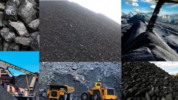 Nhập khẩu than đá tăng gần 123%