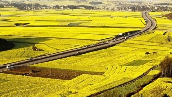 Mở rộng hạn mức nhận chuyển nhượng quyền sử dụng đất nông nghiệp