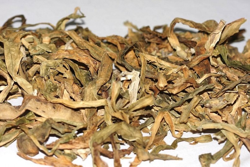 Cây trinh nữ hoàng cung vị đắng, chát có tác dụng nhuyễn kiên, thanh nhiệt giải độc,...