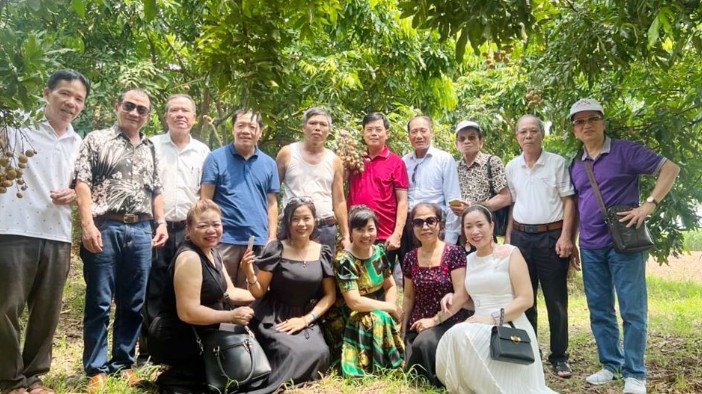 Vườn nhãn Lồng Hưng Yên hấp dẫn khách du lịch