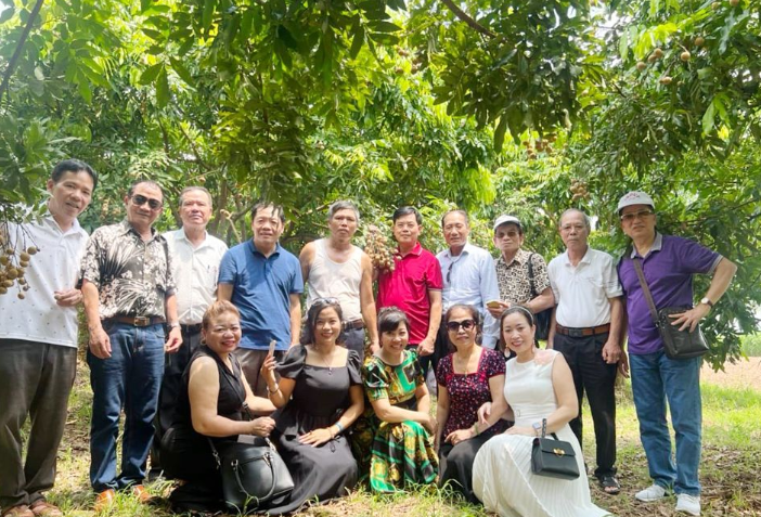 Nhãn Lồng Hưng Yên hấp dẫn khách du lịch