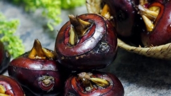 Những công dụng tuyệt vời từ củ năng đối với sức khỏe