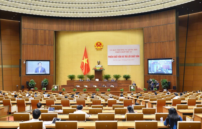 Toàn cảnh Toàn cảnh