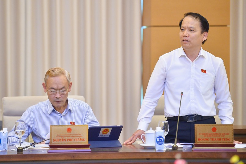 Chủ nhiệm Ủy ban Pháp luật Hoàng Thanh Tùng