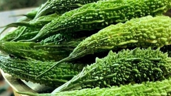 Một số bài thuốc dân gian đơn giản từ quả mướp đắng