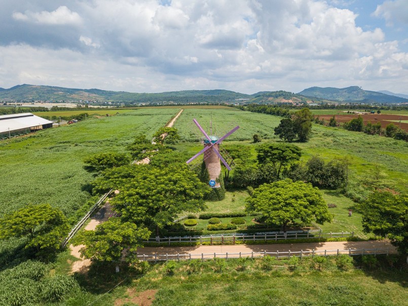 Không gian xanh mát, trong lành tại trang trại bò sữa Vinamilk Organic Đà Lạt