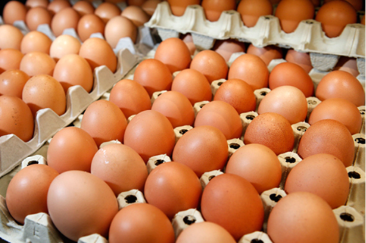 Đề xuất hạn ngạch thuế quan nhập khẩu thuốc lá nguyên liệu, trứng gia cầm