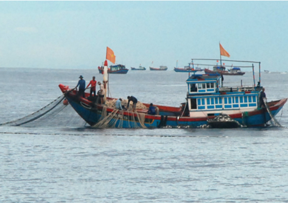 Nghiêu cứu kiến nghị hỗ trợ giá xăng dầu cho ngư dân.