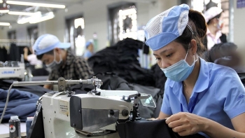 Xuất khẩu sang Pháp đạt mức tăng trưởng khá