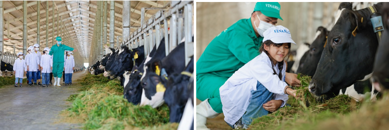 Các em thiếu nhi tại Trung tâm bảo trợ Quảng Ngãi đến thăm trang trại Vinamilk Green Farm Quảng Ngãi, một hoạt động trong chương trình Quỹ sữa 2022