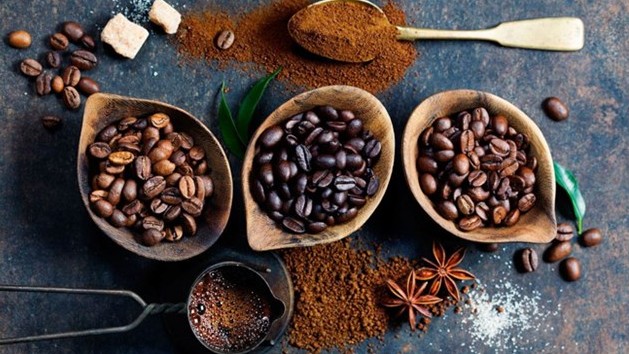 Giá cà phê hôm nay 16/8/2022: Đứng yên tại nhiều địa phương