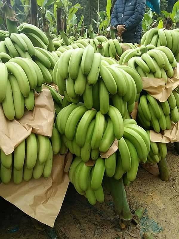 Đồng Nai: Tạm giữ phương tiện khai thác cát trái phép Đồng Nai: Tạm giữ phương tiện khai thác cát trái phép