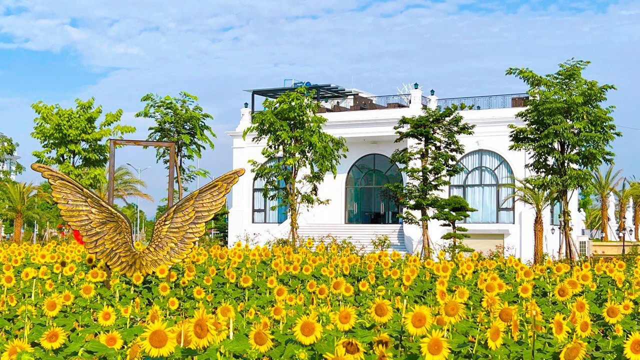 Nhà đầu tư bất động sản không ngại “xuống tiền” tháng Ngâu