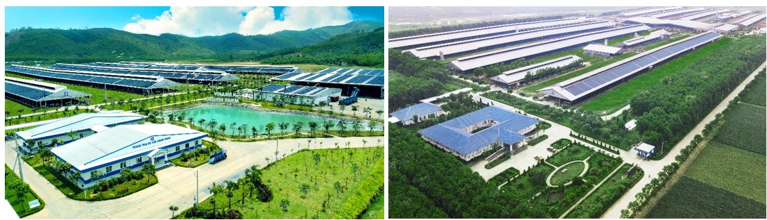 Trang trại sinh thái Vinamilk Green Farm – một điển hình về phát triển bền vững trong nông nghiệp được Vinamilk xây dựng