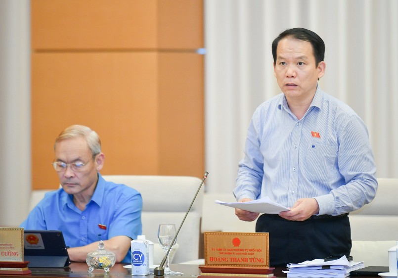 Chủ nhiệm Ủy ban Pháp luật của Quốc hội Hoàng Thanh Tùng