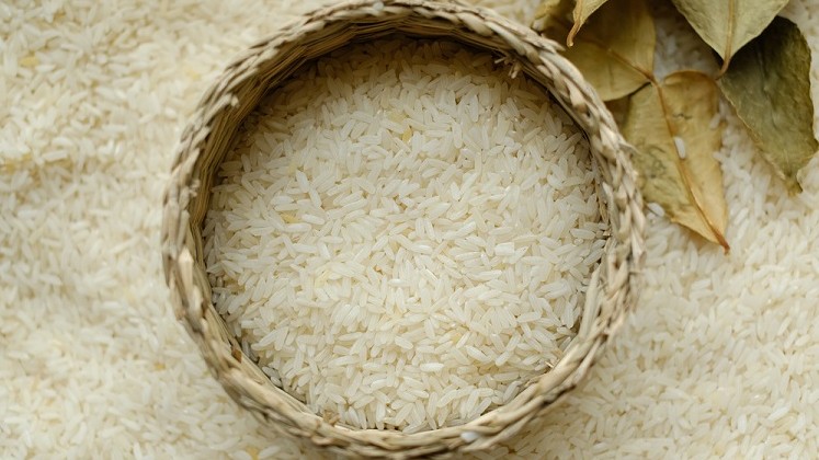 Giá lúa gạo hôm nay 18/8/2022: Giá gạo giảm 50 – 150 đồng/kg