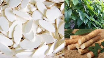 Củ mài - Vị thuốc quý trong Đông y