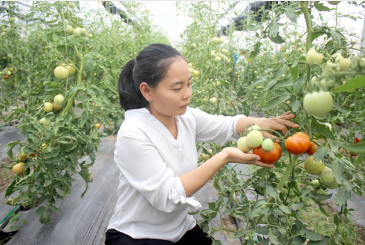 Hỗ trợ phụ nữ khởi nghiệp