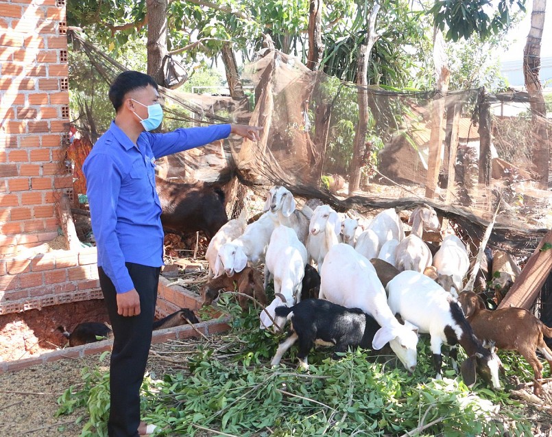 Hỗ trợ thanh niên làm kinh tế