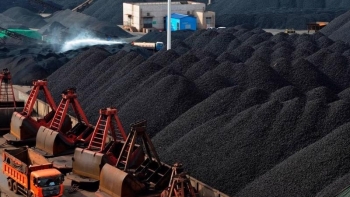 Nhập khẩu xăng dầu, than đá tăng trên 120%