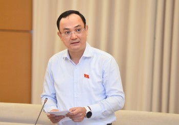 Chưa làm rõ được cơ chế kiểm soát, phối hợp quản lý trong bảo vệ và phát triển rừng