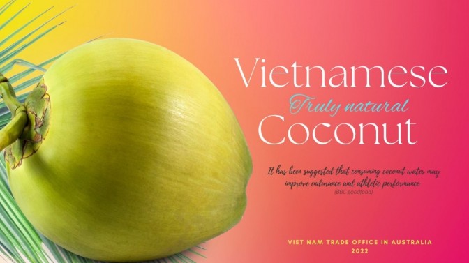 Xuất khẩu tăng mạnh, dừa Việt xuất hiện tại siêu thị lớn nhất Australia