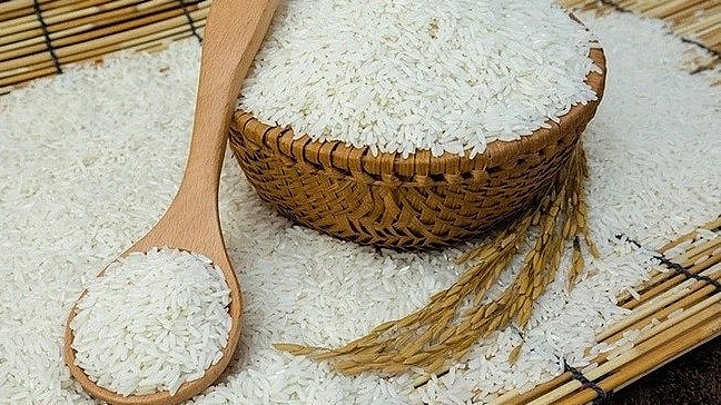 Giá lúa gạo hôm nay 22/8/2022: Không xuất hiện điều chỉnh