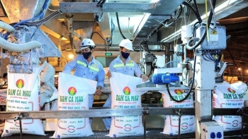 Xuất khẩu phân bón 7 tháng tăng mạnh