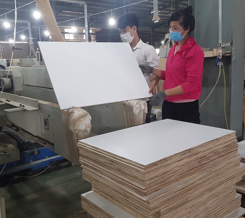 Hoa Kỳ chưa có kết luận vụ kiện lẩn tránh thuế đối với gỗ dán cứng và tủ gỗ của Việt Nam