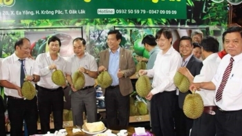 Lễ 2/9 lên Đắk Lắk thưởng thức sầu riêng ngắm khinh khí cầu