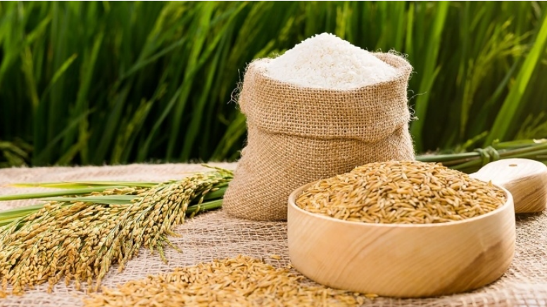 Giá lúa gạo hôm nay 27/8/2022: Duy trì ổn định