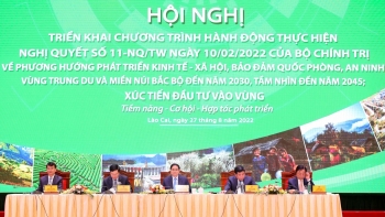 Triển khai chương trình hành động của Chính phủ thực hiện Nghị quyết của Bộ Chính trị về Vùng trung du và miền núi Bắc Bộ