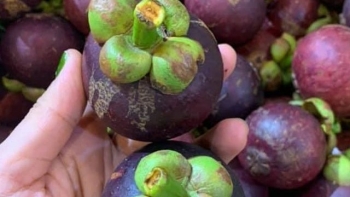 Một số công dụng của quả măng cụt trong việc bảo vệ sức khỏe