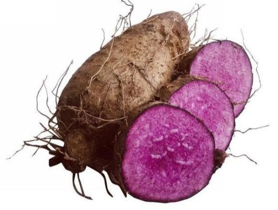 Bảo hộ chỉ dẫn địa lý “Bến Kè” cho sản phẩm khoai mỡ