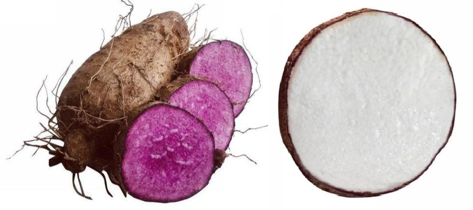 Bảo hộ chỉ dẫn địa lý “Bến Kè” cho sản phẩm khoai mỡ